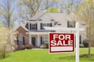 In Search of a Good Traditional Real Estate Agent